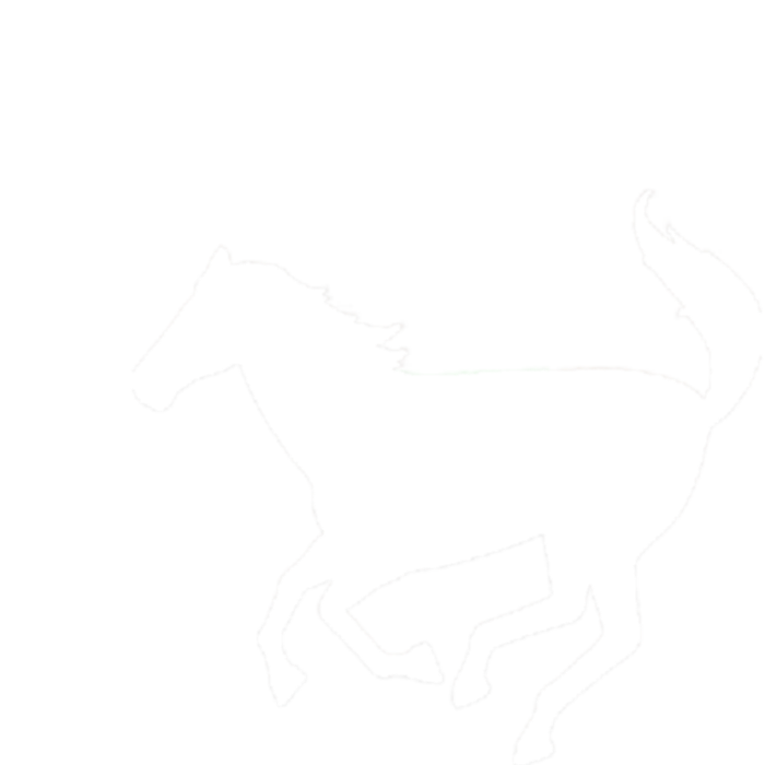 Horsebook Logo